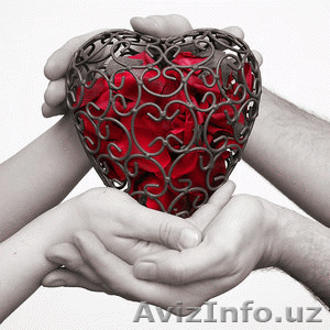 novaya i moshnaya - Изображение #1, Объявление #6769