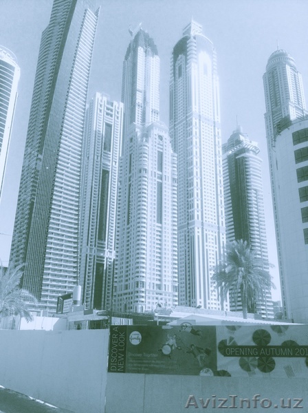 Грамотное заполнение анкеты GREEN CARD! - Изображение #1, Объявление #1497897