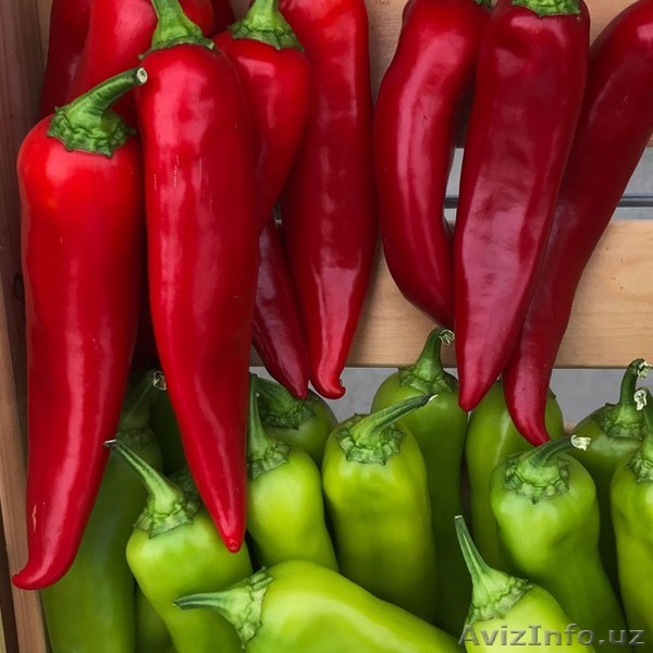 Острый перец оптом и в розницу - Изображение #1, Объявление #1634611