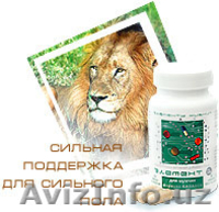 СТРОИМ БИЗНЕС С РОССИЕЙ - Изображение #2, Объявление #3574