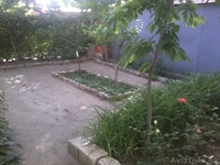 Продается отличная 2-х квартира с ремонтом на 1 этаже - Изображение #6, Объявление #1222106