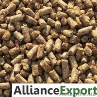 Зерновые и Масленичные культуры  - Изображение #2, Объявление #1535576