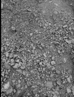 Уголь, Кумир - Изображение #1, Объявление #1636774