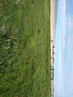 Дехконлар Диккатига! - Изображение #2, Объявление #1652918