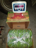 Бананы 23 кг оптом - Изображение #2, Объявление #1686914