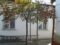 Дом - Изображение #1, Объявление #1714962