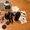 Canon EOS 5D Mark III Kit 24-105mm объектив  - Изображение #1, Объявление #1069480
