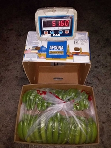 Бананы 23  -  22 кг оптом