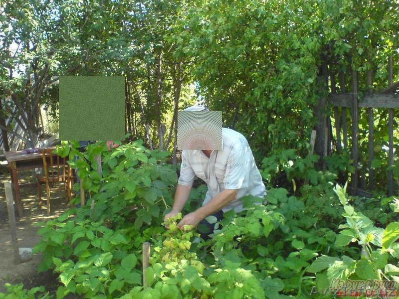 Продаю Дом в России Волгоградская обл - Изображение #2, Объявление #191144