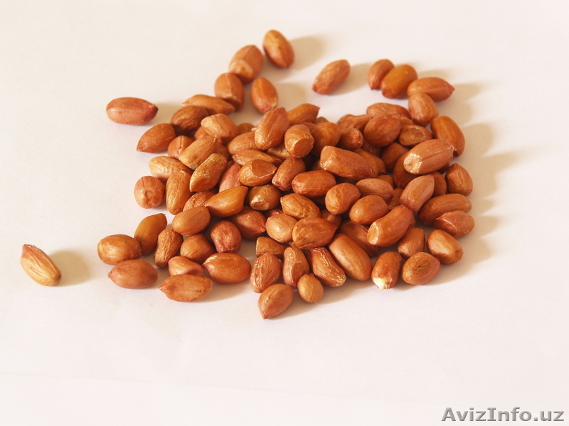 Требуются поставщики кунжута, арахиса, изюма - Украина - Изображение #1, Объявление #845886