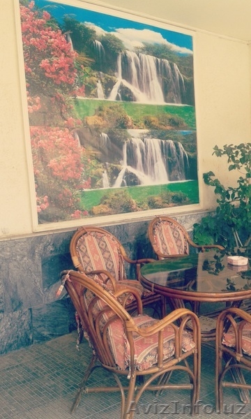 продаю дом цена договоренная - Изображение #3, Объявление #1294775