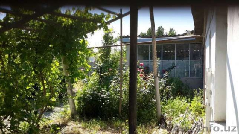 Продаю дом в племсавхозе - Изображение #4, Объявление #1527147