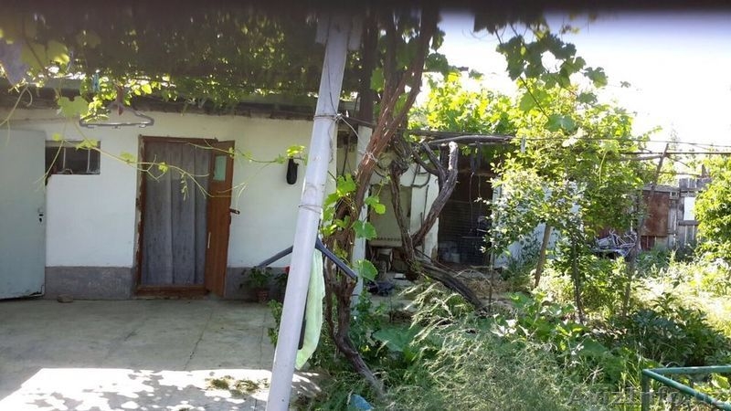 Продаю дом в племсавхозе - Изображение #6, Объявление #1527147