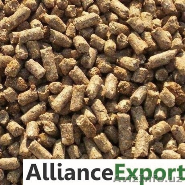 Зерновые и Масленичные культуры  - Изображение #2, Объявление #1535576