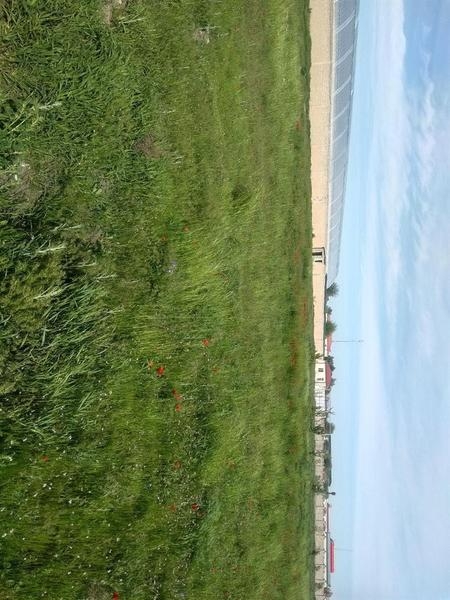 Дехконлар Диккатига! - Изображение #2, Объявление #1652918