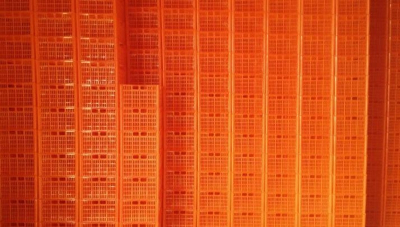 Пластиковые ящички под фрукты-опт - Изображение #1, Объявление #1654326