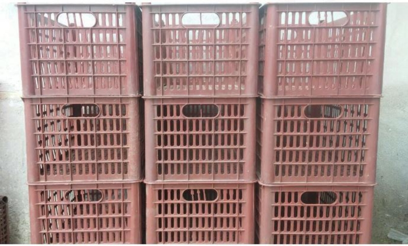 Пластиковые ящички под фрукты-опт - Изображение #3, Объявление #1654326